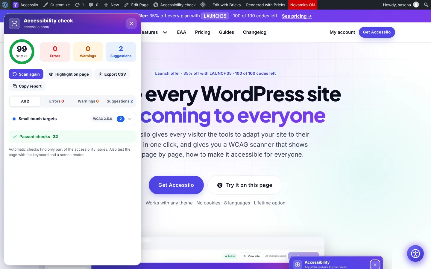 Accessibility check open on the home page with score 99 and the issue list